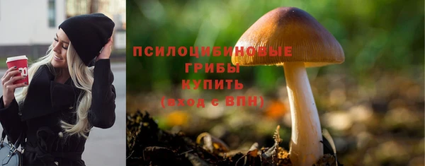 PSILOCYBIN Абдулино