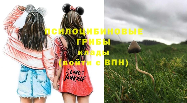 мдпв Надым
