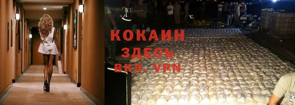 тгк Абинск